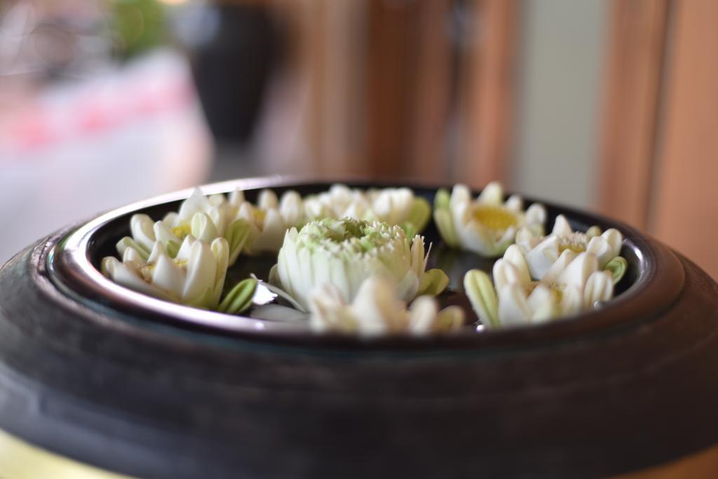 Gloria Angkor Hotel Siem Reap Eksteriør bilde